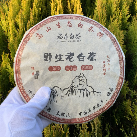 Белый чай старый Фудин Тайму Фучжоу 2015 год блин 357 г